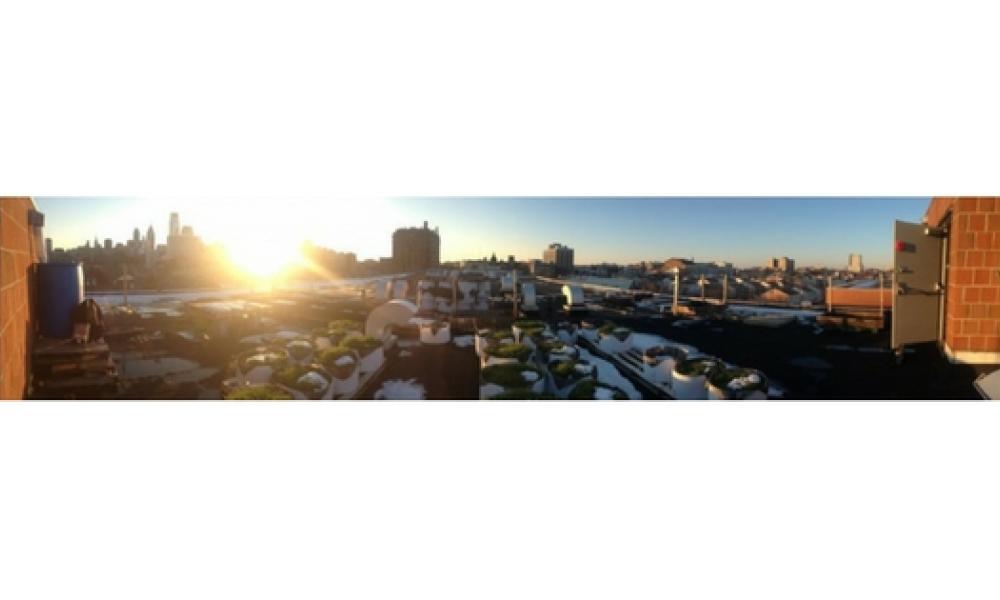 Cloud 9 Rooftop Farm logo with picture of city skyline and sun setting